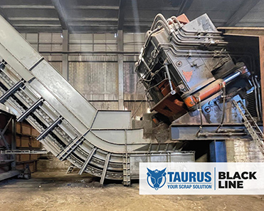 Foto famiglia presse blackline taurus
